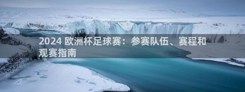 2024欧洲杯竞猜网址：2024 欧洲杯足球赛：参赛队伍、赛程和
观赛指南