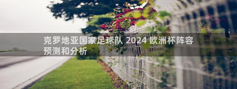 买欧洲杯的竞猜在那个app|克罗地亚国家足球队 2024 欧洲杯阵容
预测和分析