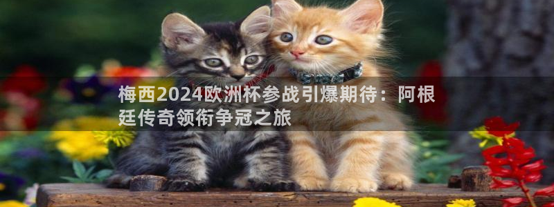 欧洲杯最新赛程|梅西2024欧洲杯参战引爆期待：阿根
廷传奇领衔争冠之旅