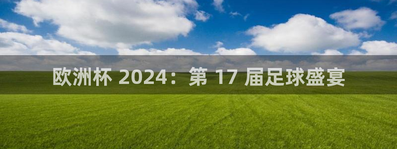 欧洲杯买注在哪买|欧洲杯 2024：第 17 届足球盛宴