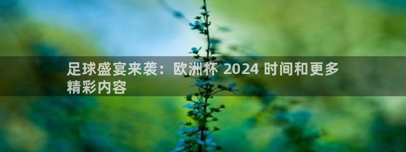 欧洲杯买球怎么买|足球盛宴来袭：欧洲杯 2024 时间和更多
精彩内容