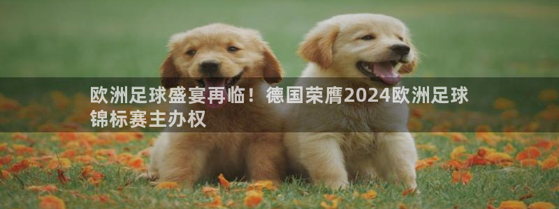 放心购买足球平台|欧洲足球盛宴再临！德国荣膺2024欧洲足球
锦标赛主办权