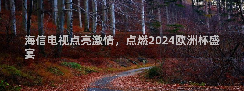 2024欧洲杯官方网站首页|海信电视点亮激情，点燃2024欧洲杯盛
宴