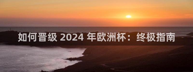 欧洲杯买足球软件有哪些|如何晋级 2024 年欧洲杯：终极指南