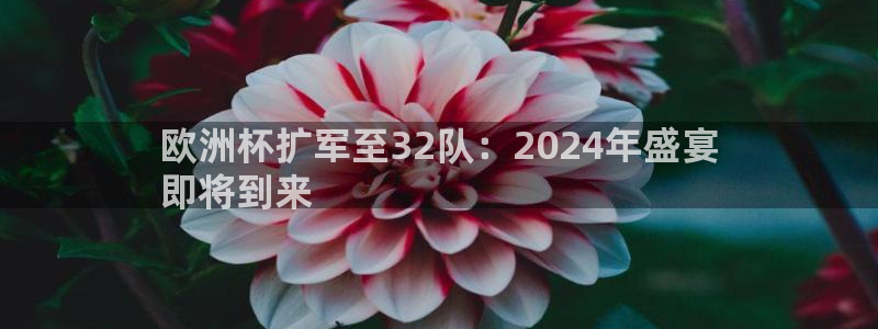 欧洲杯下单平台官方网站|欧洲杯扩军至32队：2024年盛宴
即将到来