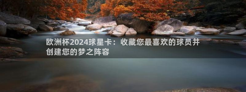 2024欧洲杯买球推荐|欧洲杯2024球星卡：收藏您最喜欢的球员并
创建您的梦之阵容