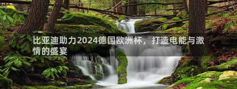 2024欧洲杯全部赛程|比亚迪助力2024德国欧洲杯，打造电能与激
情的盛宴