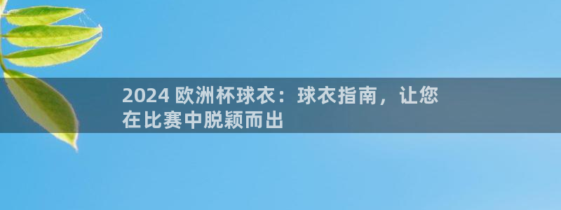 欧洲杯买足球软件有哪些|2024 欧洲杯球衣：球衣指南，让您
在比赛中脱颖而出